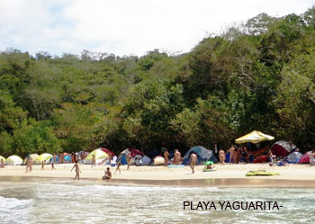 Nudelot Nudismo en Venezuela Playas Nudistas